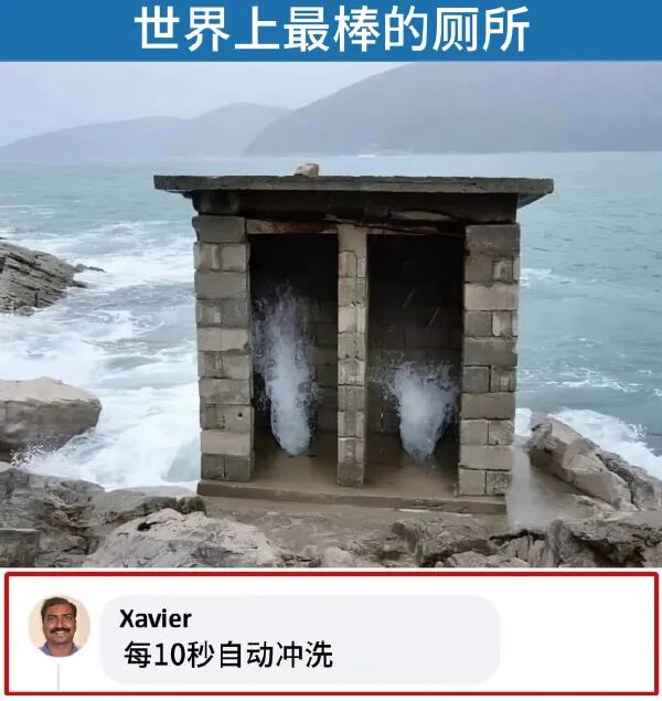 Word文档图片